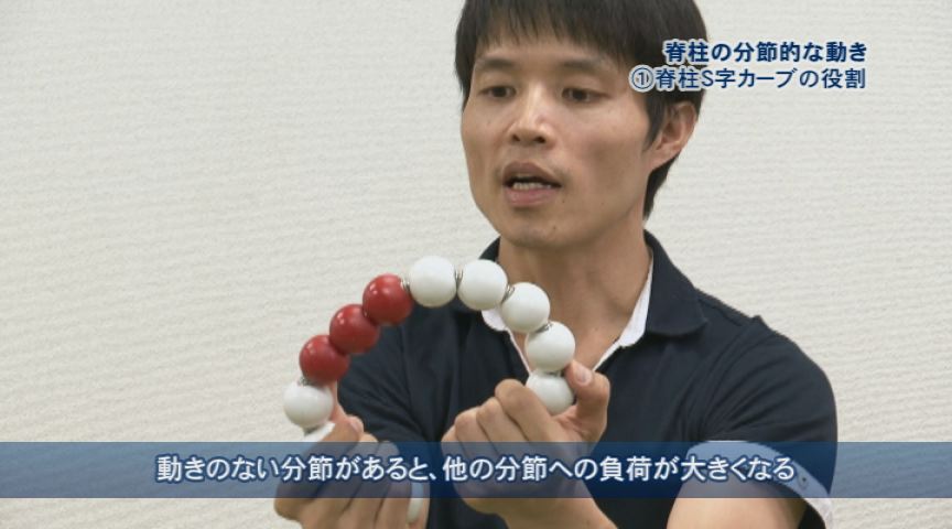 運動連鎖アプローチ　バイラテラル・センタリングアプローチ　ジャパンライム　DVD 理学療法 リハビリテーション バックナンバー：2015年