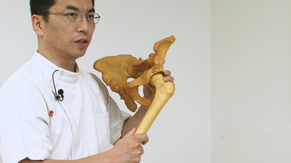 理学療法 リハビリテーション バックナンバー：2015年 | ジャパン