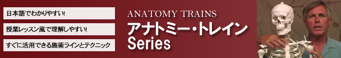 アナトミートレイン