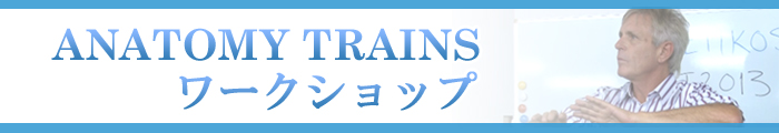 アナトミートレイン