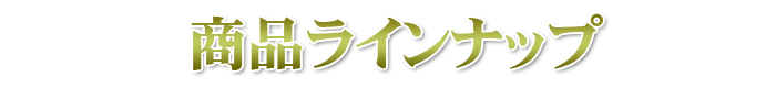 アナトミートレイン