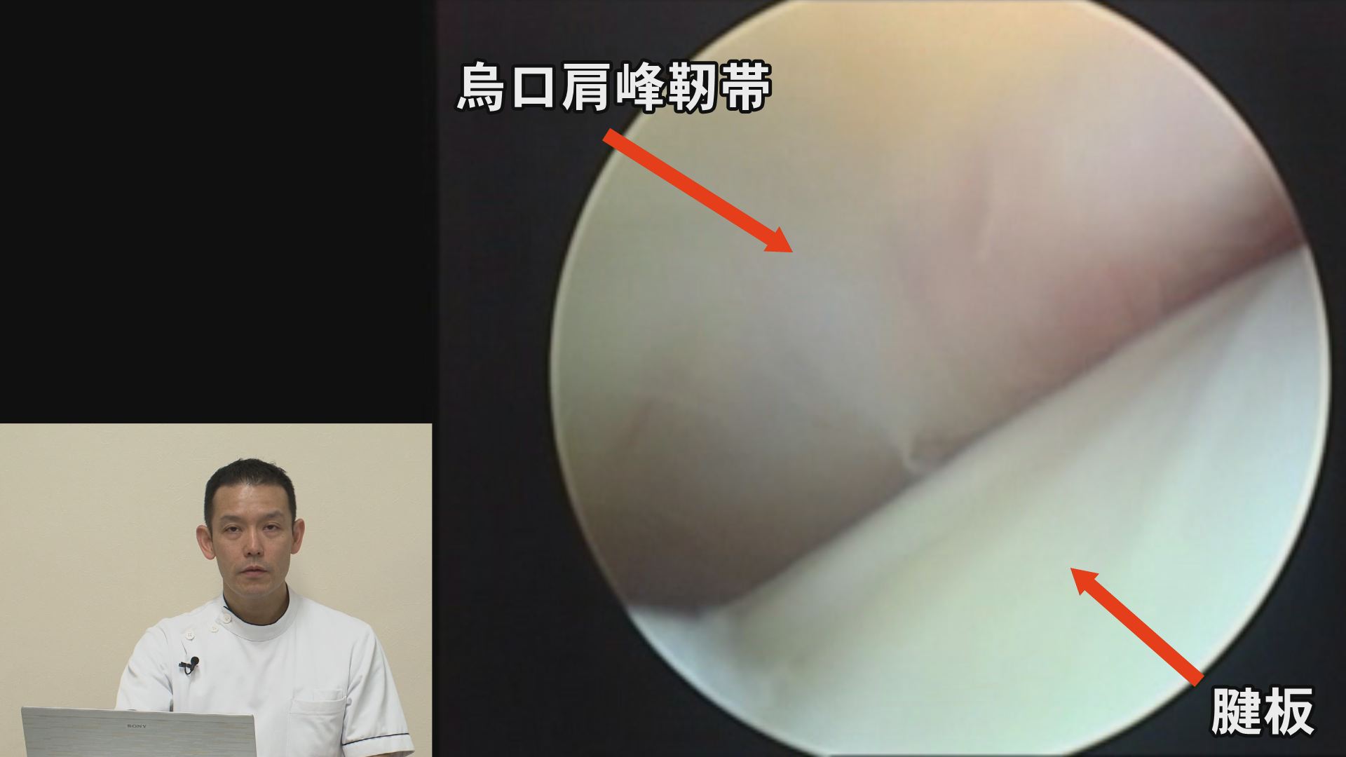 理学療法 リハビリテーション バックナンバー：2015年