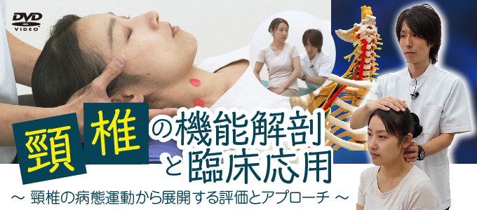 上部体幹の評価と治療（全２枚） ジャパンライム 理学療法 リハビリテーション バックナンバー：2016年