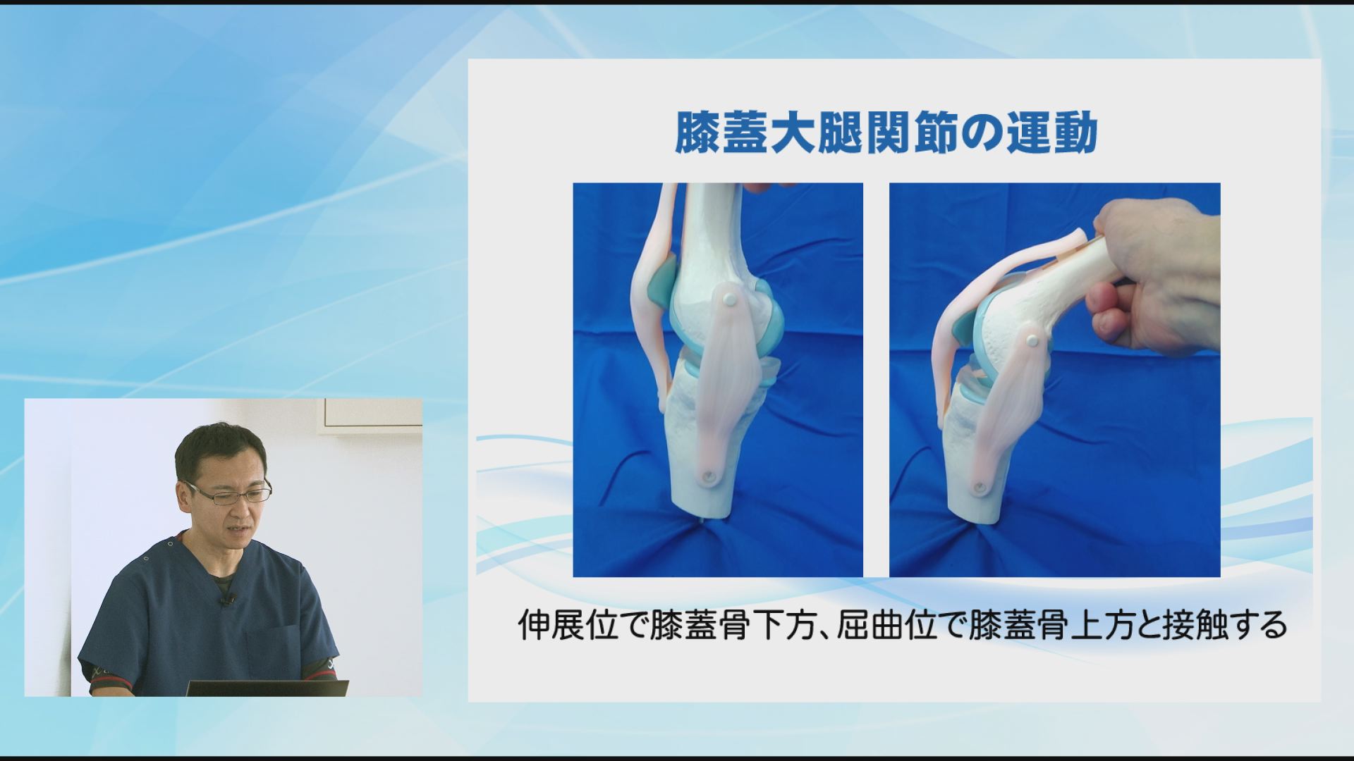 機能解剖に基づいた変形性膝関節症の治療