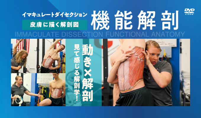 レイヤー:バルベーション　軟部組織テクニック ジャパンライム 理学療法 リハビリテーション | ジャパンライムメディカル.com