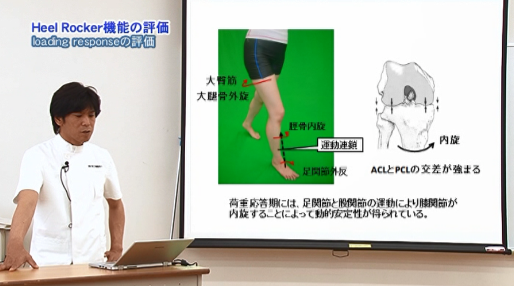 歩行のバイオメカニクスと動作分析